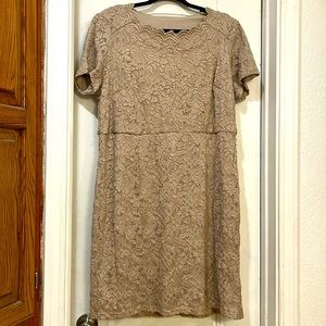 Women’s Lace Dress Size 2X NWT